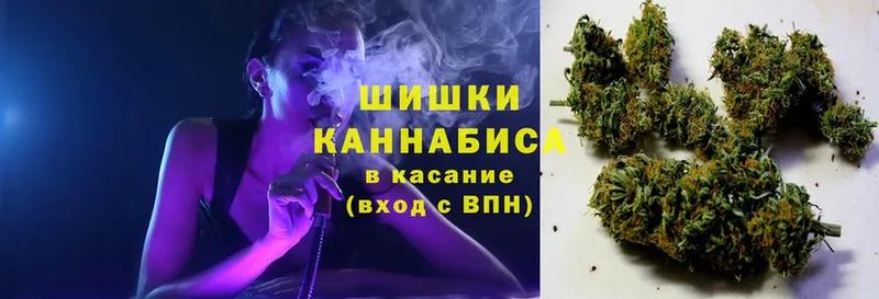 Шишки марихуана Amnesia  Шахты 